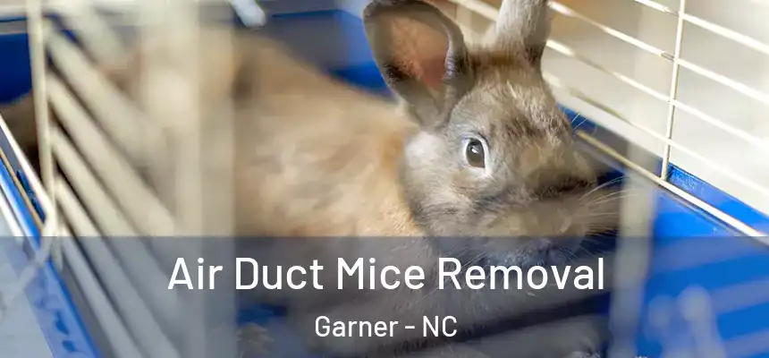 Air Duct Mice Removal Garner - NC