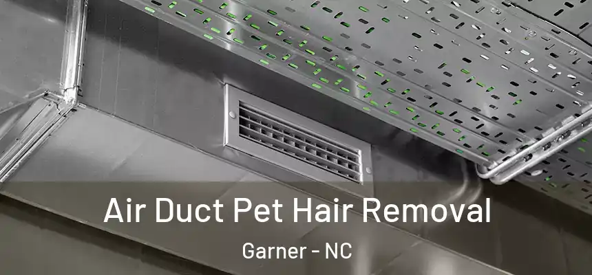 Air Duct Pet Hair Removal Garner - NC