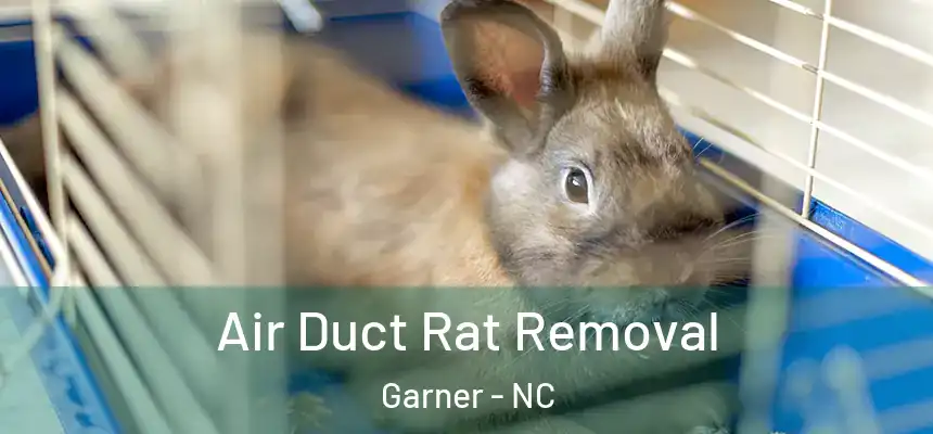 Air Duct Rat Removal Garner - NC