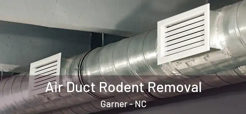 Air Duct Rodent Removal Garner - NC