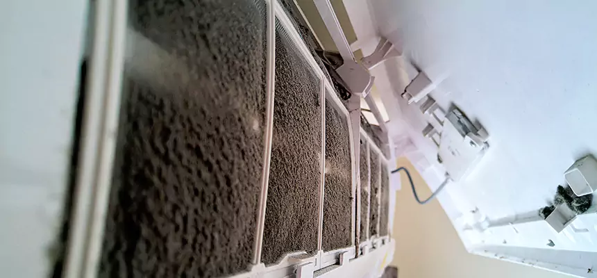 Preventive Air Duct Bacteria Removal in Garner