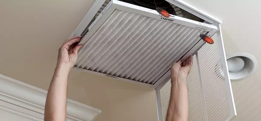 Preventive Cockroach-Proofing for Ducts in Garner