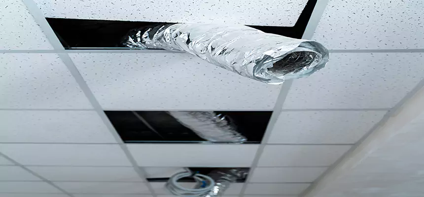 Affordable HVAC Sanitizing After Pest Removal in Garner