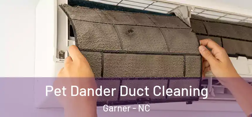  Pet Dander Duct Cleaning Garner - NC