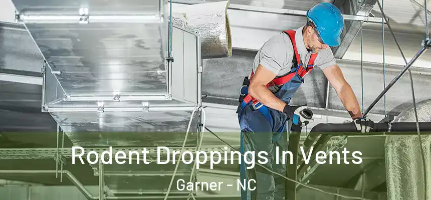 Rodent Droppings In Vents Garner - NC
