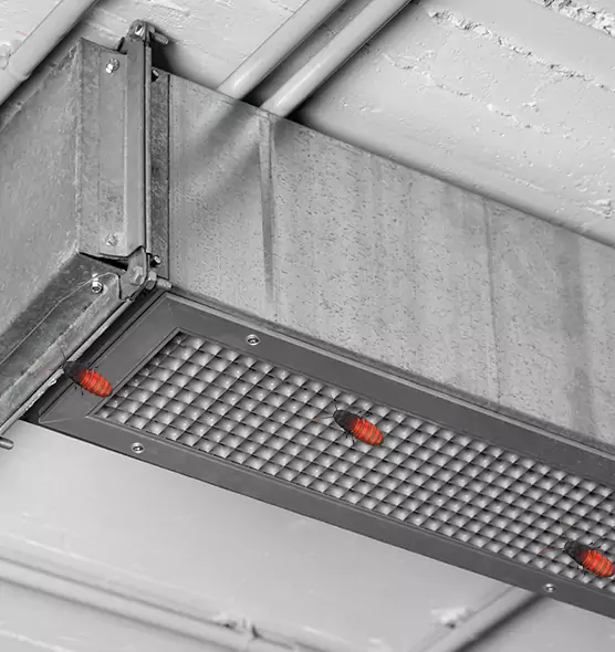 Affordable Insect Removal from Air Ducts in Garner, NC