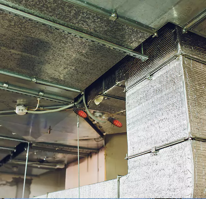 Why Homeowners & Businesses Trust Us in Garner, NC?