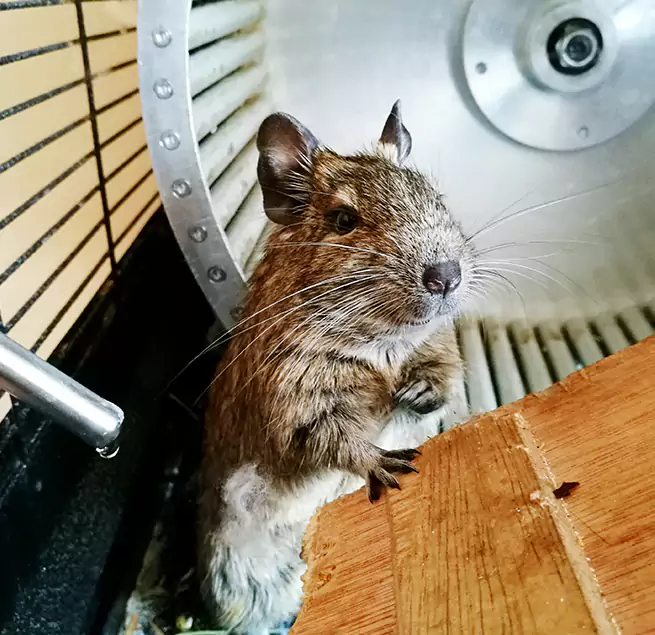 Why Homeowners & Businesses Trust Us Garner, NC?