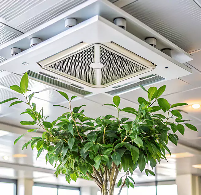 Why Homeowners & Businesses Trust Us in Garner, NC?